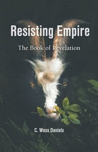 bokomslag Resisting Empire