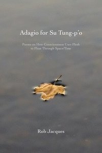 bokomslag Adagio for Su Tung-p'o: Poems on How Consciousness Uses Flesh to Float Through Space/Time