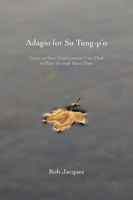 Rob Jacques - Adagio for Su Tung-p'o: Poems on How Consciousness Uses Flesh to Float Through Space/Time, Häftad