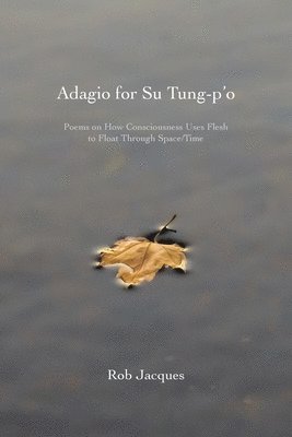 Adagio for Su Tung-p'o: Poems on How Consciousness Uses Flesh to Float Through Space/Time 1