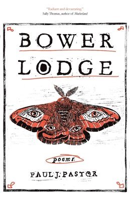 Bower Lodge: Poems 1