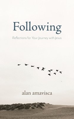 bokomslag Following: Reflections for Your Journey with Jesus