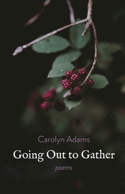 Carolyn Adams - Going Out to Gather, Häftad