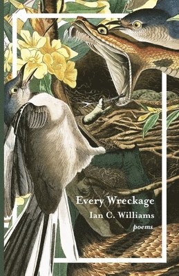 Ian C Williams - Every Wreckage, Häftad