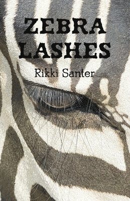 Zebra Lashes 1