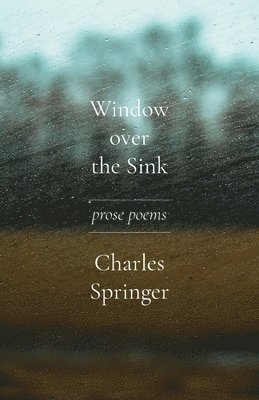 Window over the Sink