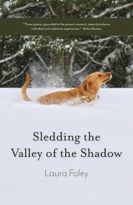 Laura Foley - Sledding the Valley of the Shadow, Häftad
