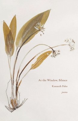 Kenneth Pobo - At the Window, Silence, Häftad