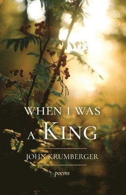 John Krumberger - When I Was a King, Häftad