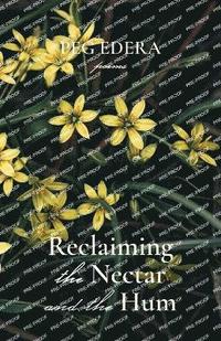 bokomslag Reclaiming the Nectar and the Hum