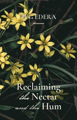 Peg Edera - Reclaiming the Nectar and the Hum, Häftad