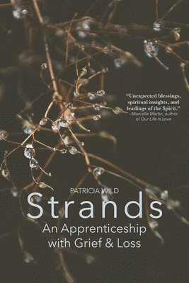 bokomslag Strands: An Apprenticeship with Grief and Loss