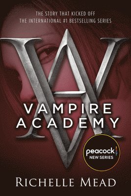 bokomslag Vampire Academy 01