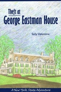bokomslag Theft At George Eastman House