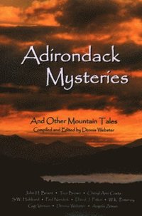 bokomslag Adirondack Mysteries