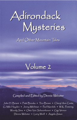 Dennis Webster - Adirondack Mysteries, Häftad