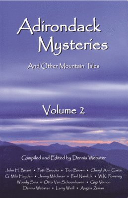 Adirondack Mysteries 1