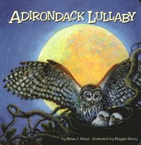 bokomslag Adirondack Lullaby