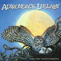 bokomslag Adirondack Lullaby