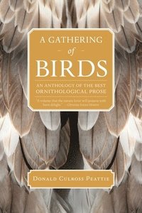 bokomslag A Gathering of Birds