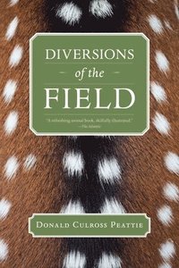 bokomslag Diversions of the Field