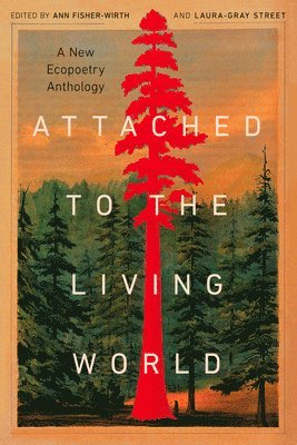 Ann Fisher-Wirth, Laura-Gray Street - Attached to the Living World, Häftad