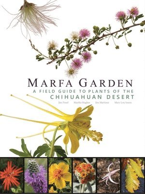 Marfa Garden 1