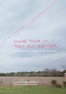 Name Them-They Fly Better 1