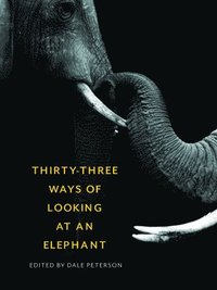 bokomslag Thirty-Three Ways of Looking at an Elephant