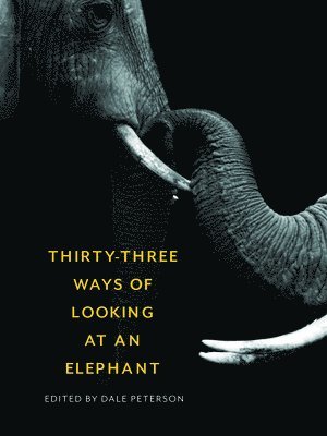 Thirty-Three Ways of Looking at an Elephant 1