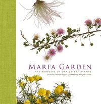bokomslag Marfa Garden