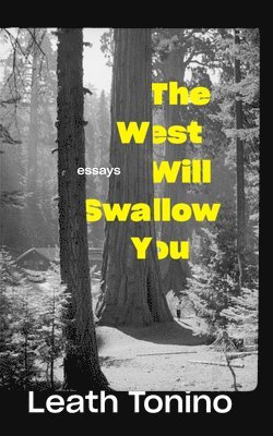 bokomslag West Will Swallow You