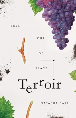 bokomslag Terroir