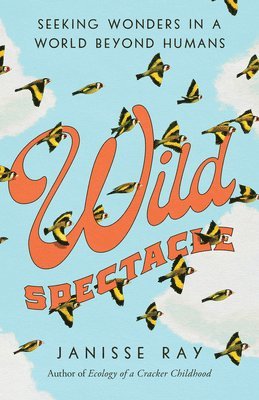 Wild Spectacle 1