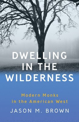 bokomslag Dwelling in the Wilderness
