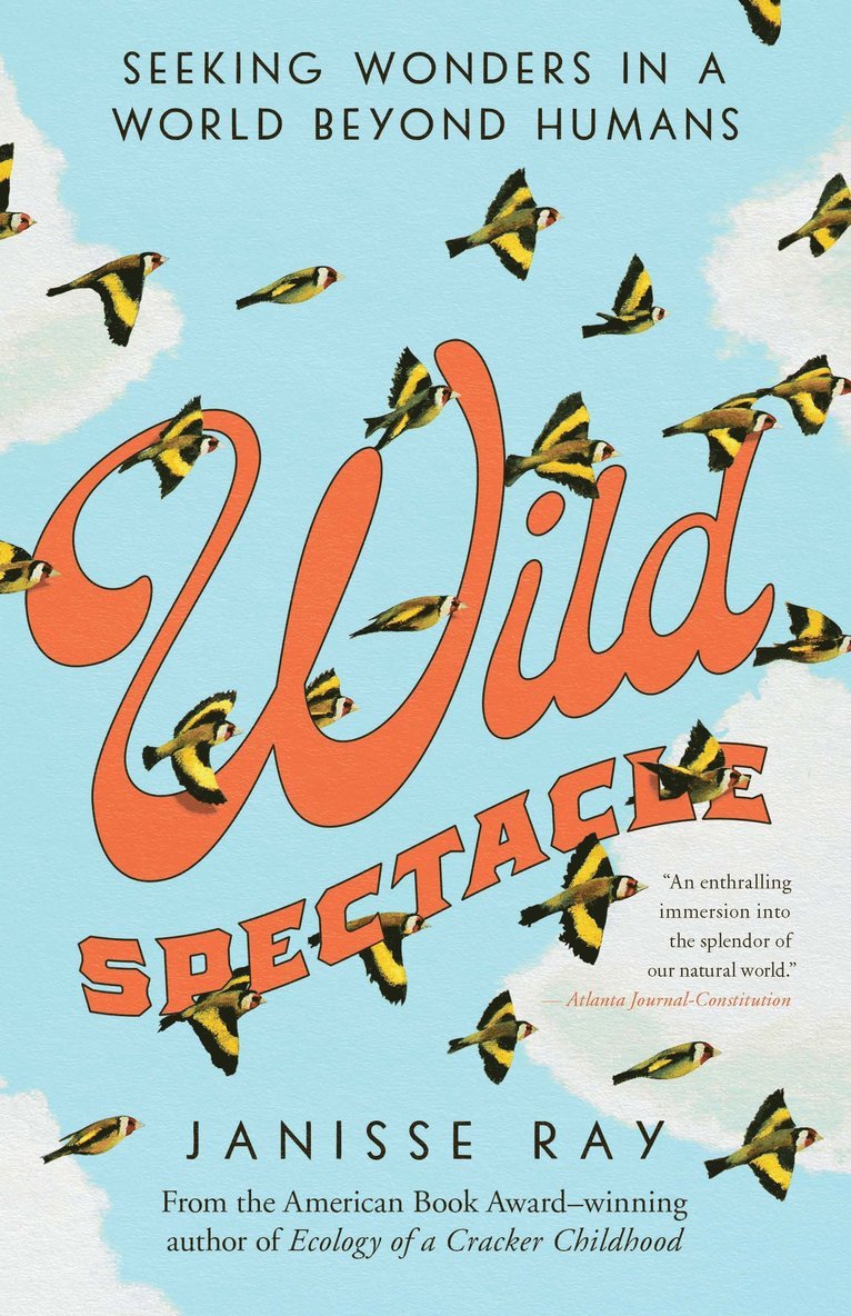 Wild Spectacle 1