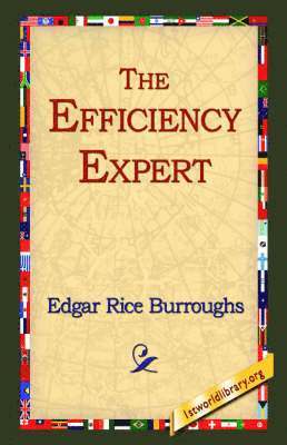 bokomslag Efficiency Expert