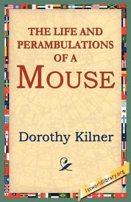 bokomslag The Life and Perambulations of a Mouse