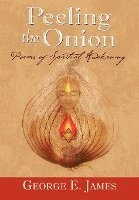 bokomslag Peeling the Onion