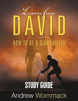 Lessons From David Study Guide 1
