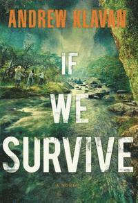 bokomslag If We Survive