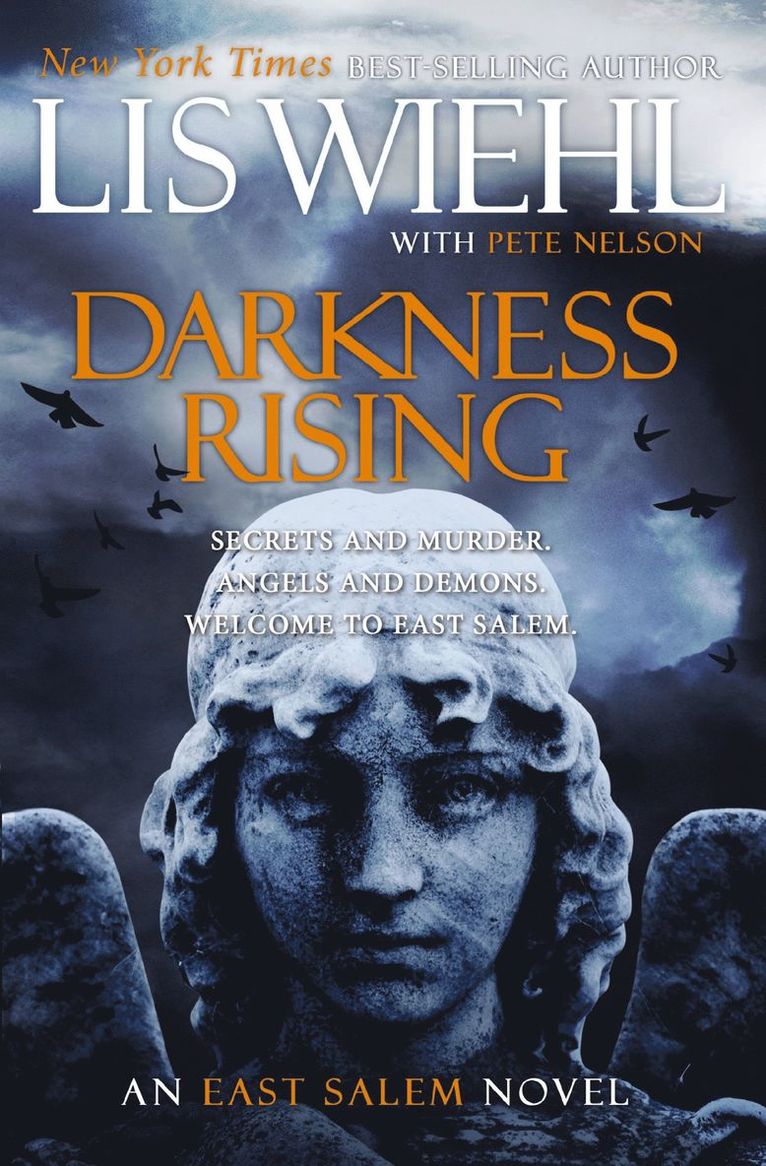 Lis Wiehl, Pete Nelson - Darkness Rising, Häftad