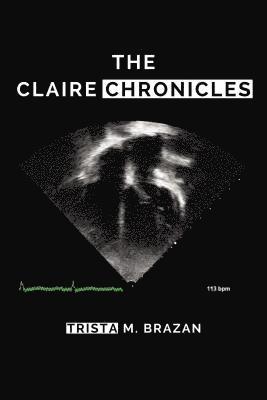 bokomslag CLAIRE CHRONICLES