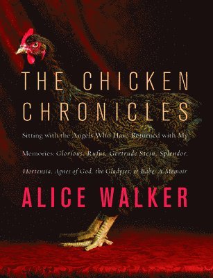 bokomslag The Chicken Chronicles: Sitting with the Angels Who Have Returned with My Memories: Glorious, Rufus, Gertrude Stein, Splendor, Hortensia, Agne