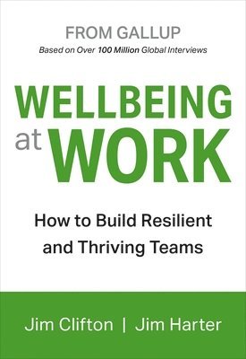bokomslag Wellbeing at Work