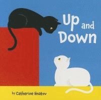 Catherine Hnatov - Up and Down, Inbunden