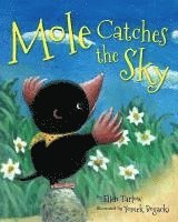 Ellen Tarlow - Mole Catches the Sky, Inbunden