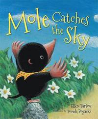 bokomslag Mole Catches the Sky