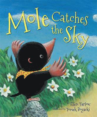 Ellen Tarlow - Mole Catches the Sky, Häftad