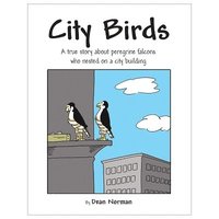 bokomslag City Birds